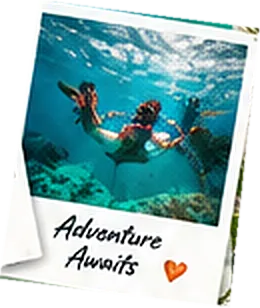 Polaroid of snorkellers over a reef: Adventure awaits